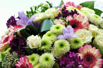 Картинка цветы разные+вместе розы герберы фрезия хризантемы