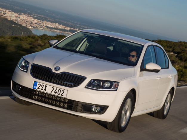 Обои картинки фото автомобили, skoda, superb, 2013, г, greenline