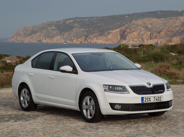 Обои картинки фото автомобили, skoda, superb, greenline, 2013, г