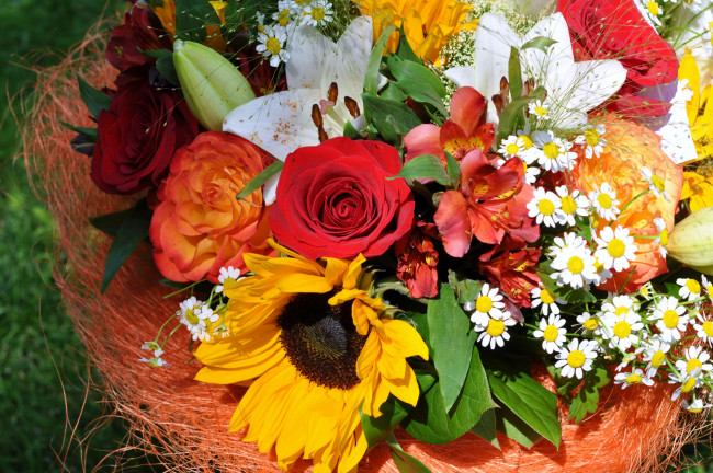 Обои картинки фото цветы, букеты,  композиции, подсолнухи, ромашки, лилии, розы