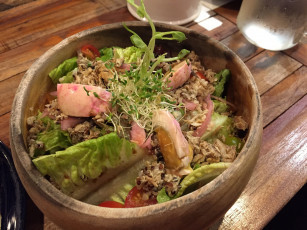 Картинка еда салаты +закуски салат