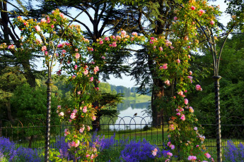 Картинка цветы разные+вместе розы арка озеро