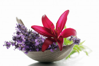 Картинка цветы букеты +композиции макро лаванда лилия