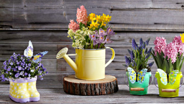 Картинка цветы разные+вместе гиацинты крокусы мускари нарциссы