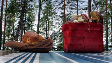 Картинка еда грибы +грибные+блюда сбор