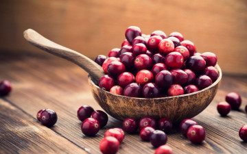 Картинка еда клюква ягоды