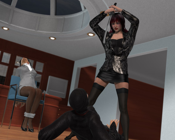 Обои картинки фото ninja story revenge, 3д графика, фантазия , fantasy, фон, взгляд, оружие, девушка