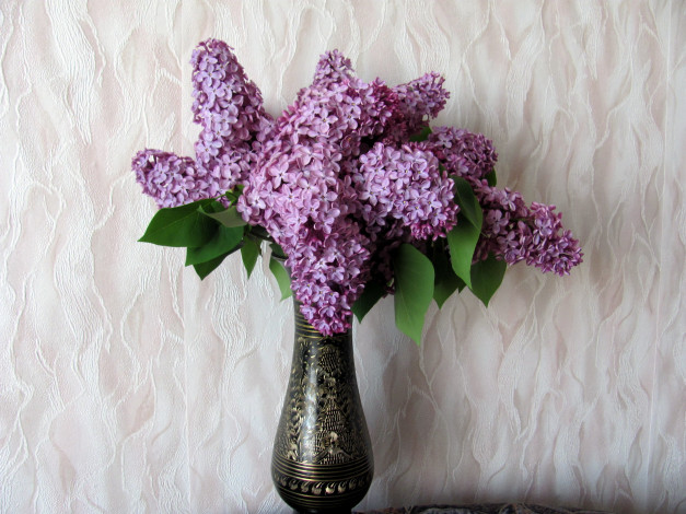 Обои картинки фото цветы, сирень, ваза, букет