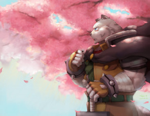 Картинка аниме grimoire+of+zero zero kara hajimeru mahou no sho