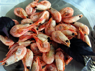 Картинка еда рыба +морепродукты +суши +роллы базилик креветки