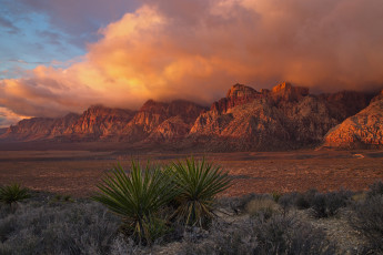 Картинка природа пустыни простор