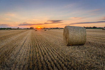 Картинка природа поля простор