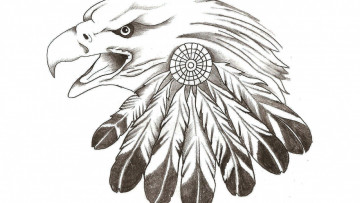 Картинка рисованное минимализм клюв