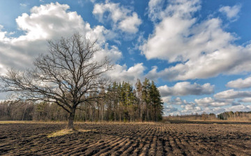 Картинка природа поля весна поле распаханное