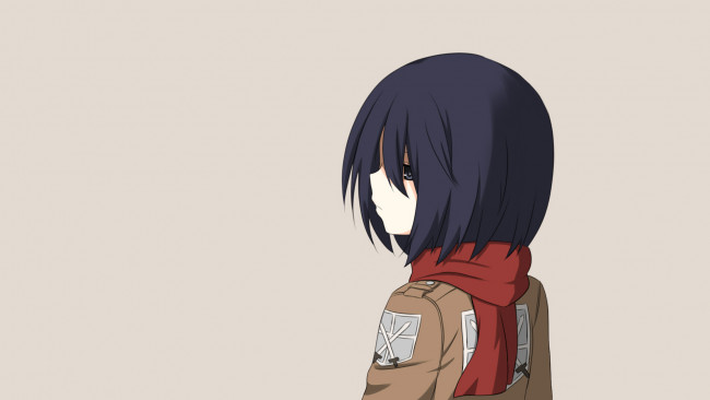 Обои картинки фото аниме, shingeki no kyojin, девушка, взгляд, фон