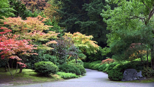 Обои картинки фото природа, парк, аллея, деревья