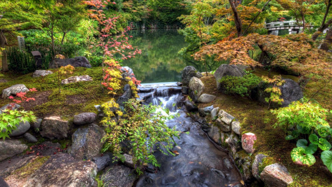 Обои картинки фото природа, парк, ручей, водоем