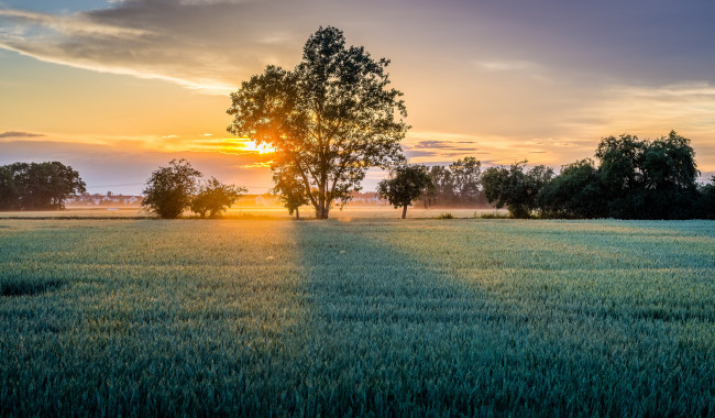 Обои картинки фото природа, восходы, закаты, простор