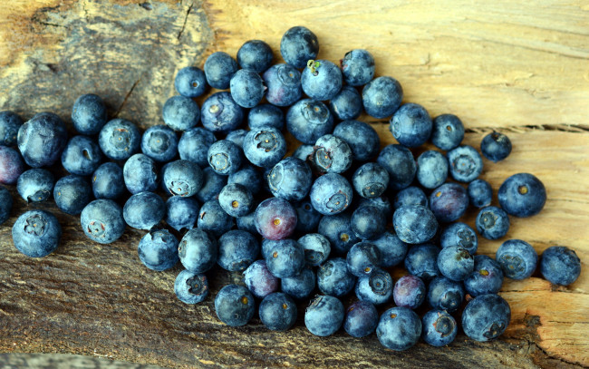 Обои картинки фото еда, голубика,  черника, черника