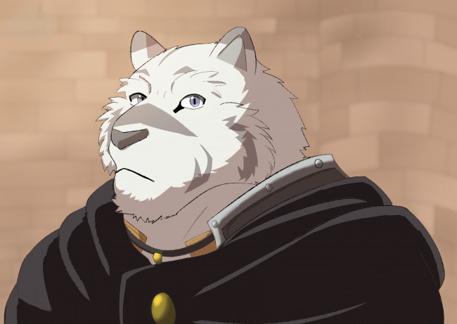 Обои картинки фото аниме, grimoire of zero, zero, kara, hajimeru, mahou, no, sho