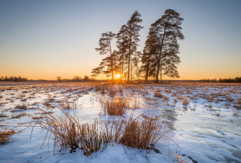 Картинка природа зима простор