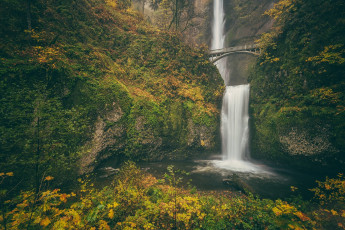 Картинка природа водопады columbia river gorge осень водопад орегон ущелье реки колумбия мост бенсона скала benson bridge малтнома oregon multnomah falls