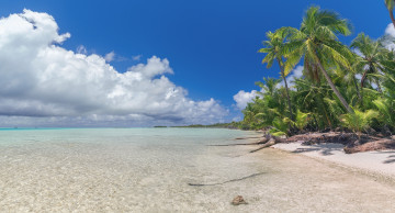 Картинка природа тропики простор