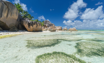 Картинка природа тропики простор