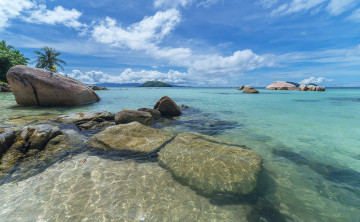 Картинка природа тропики простор