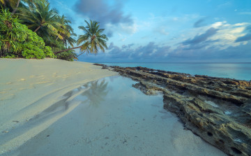 Картинка природа тропики простор