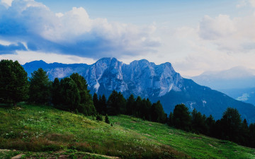 Картинка природа луга луг