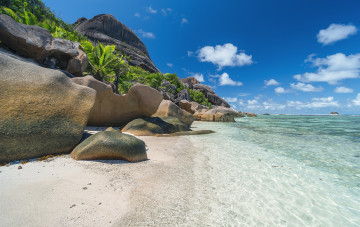 Картинка природа тропики простор