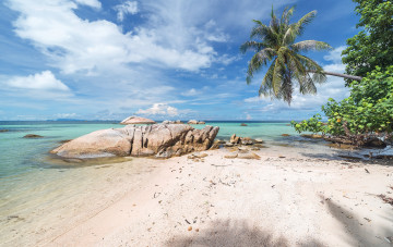 Картинка природа тропики простор