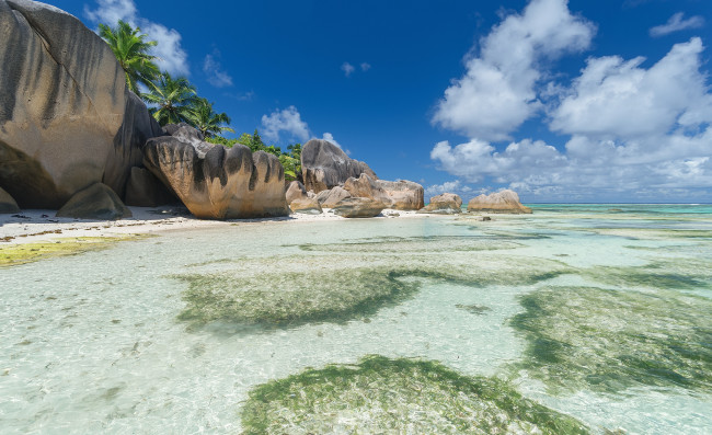 Обои картинки фото природа, тропики, простор