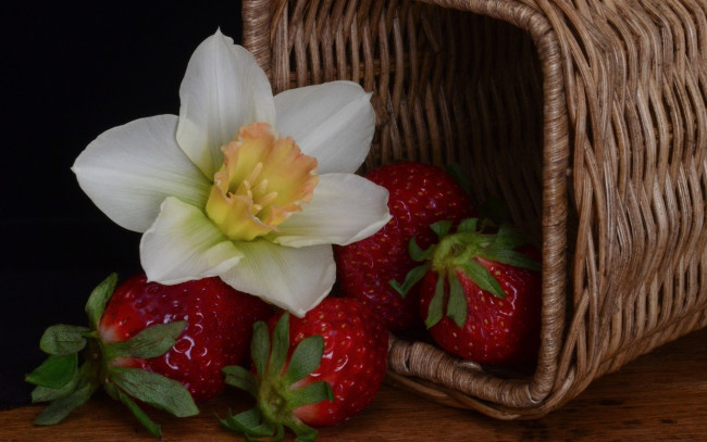 Обои картинки фото еда, клубника,  земляника, цветы