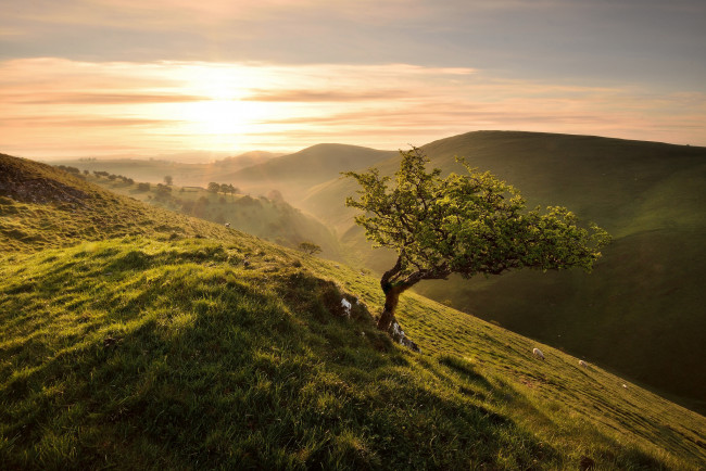 Обои картинки фото природа, восходы, закаты, простор