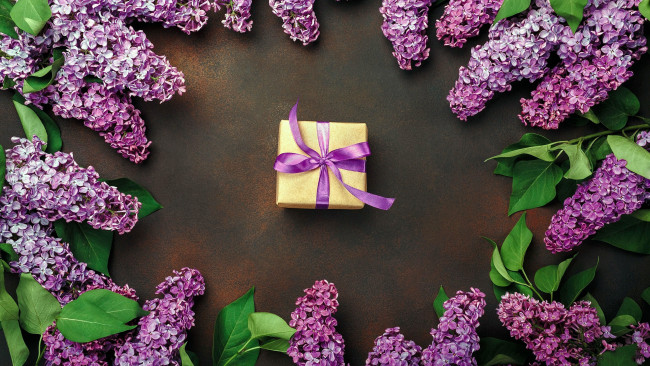 Обои картинки фото праздничные, подарки и коробочки, подарок, сирень