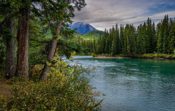 Картинка alberta canada природа реки озера