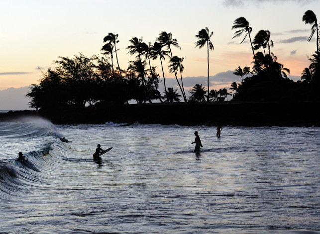 Обои картинки фото разное, люди, море, берег, волна, пальмы