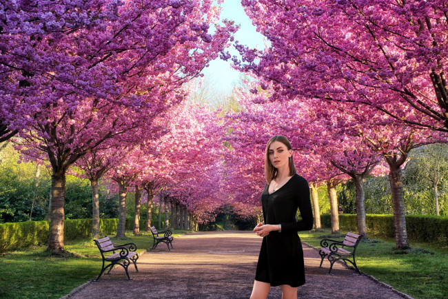 Обои картинки фото девушки, - брюнетки,  шатенки, парк, весна, шатенка, черное, платье