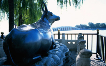 обоя разное, садовые и парковые скульптуры, статуя, корова, ограда