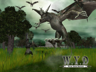 Картинка with your destiny видео игры