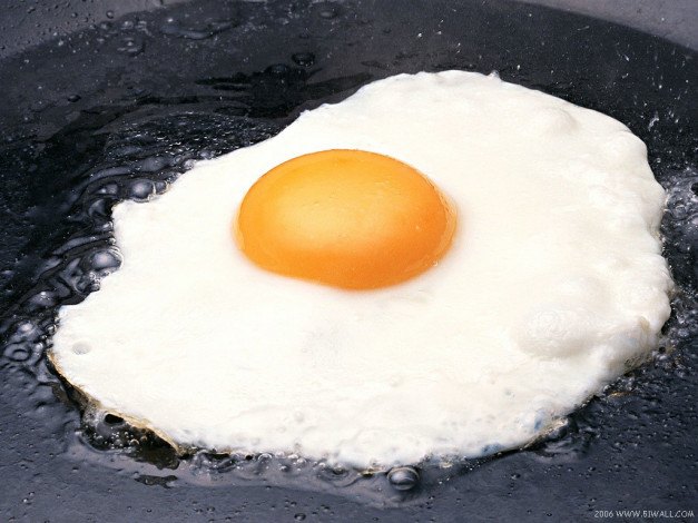 Обои картинки фото еда, Яичные, блюда