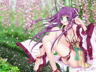 Картинка sakura girl аниме *unknown другое