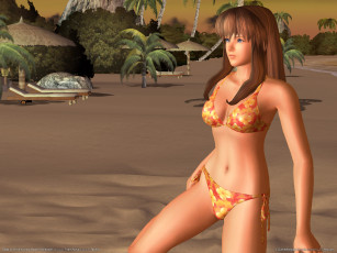 Картинка dead or alive xtreme beach volleyball видео игры