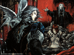 Картинка видео игры castlevania curse of darkness