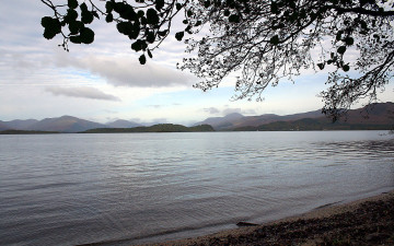 Картинка природа реки озера