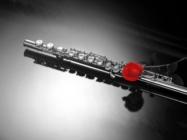 Обои картинки фото музыка, музыкальные, инструменты