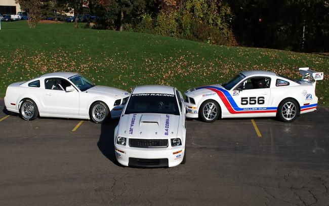 Обои картинки фото автомобили, mustang