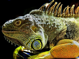 Картинка 3д графика animals животные